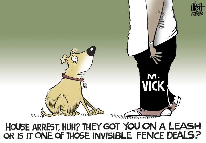MICHAEL VICK, COLOR