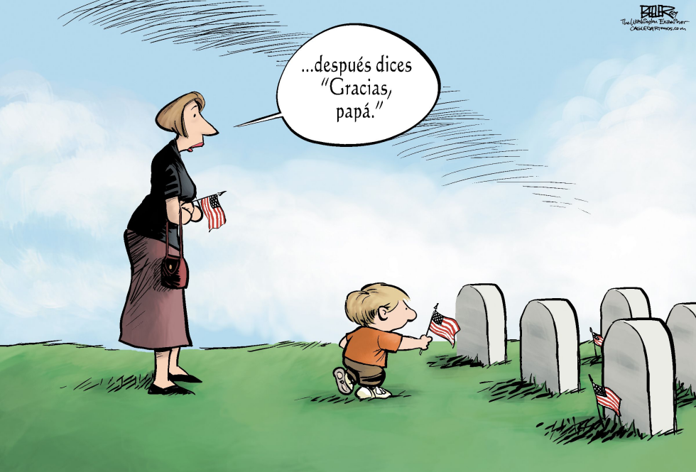 Dia del Recuerdo / COLOR