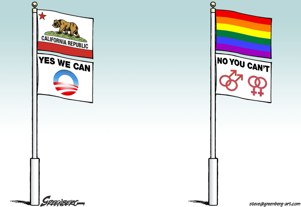 prop 8 flags