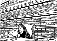 SOTOMAYOR by John Trever