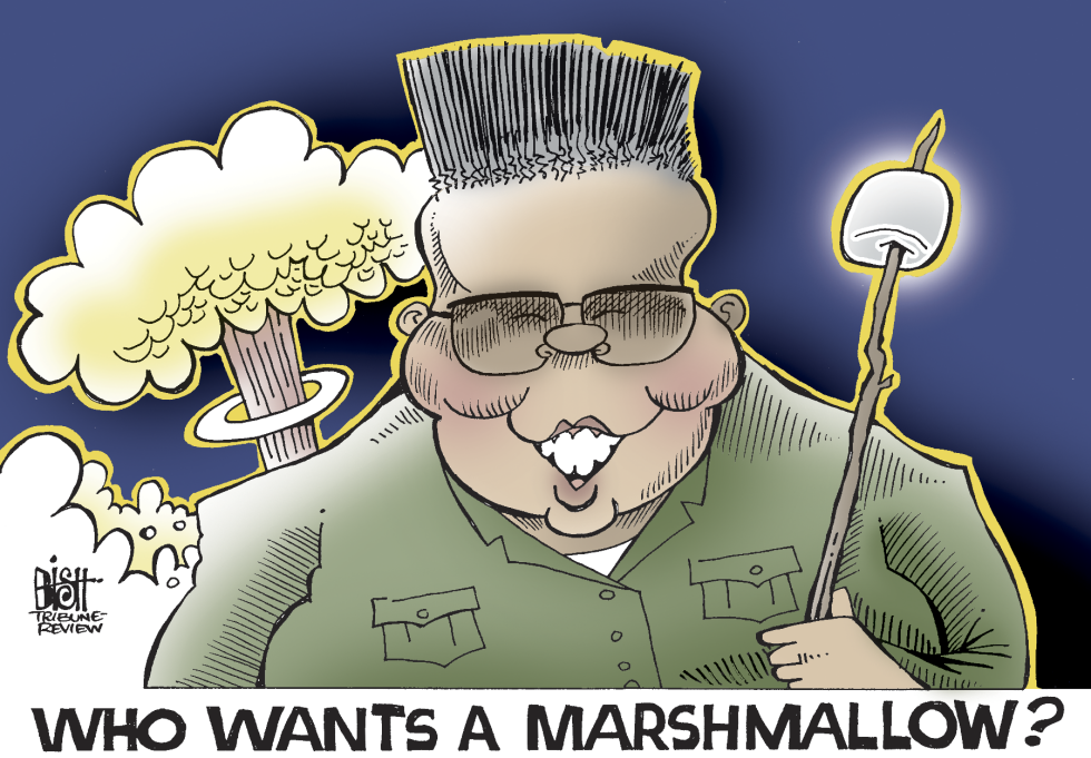 KIM JONG IL COOKOUT, COLOR