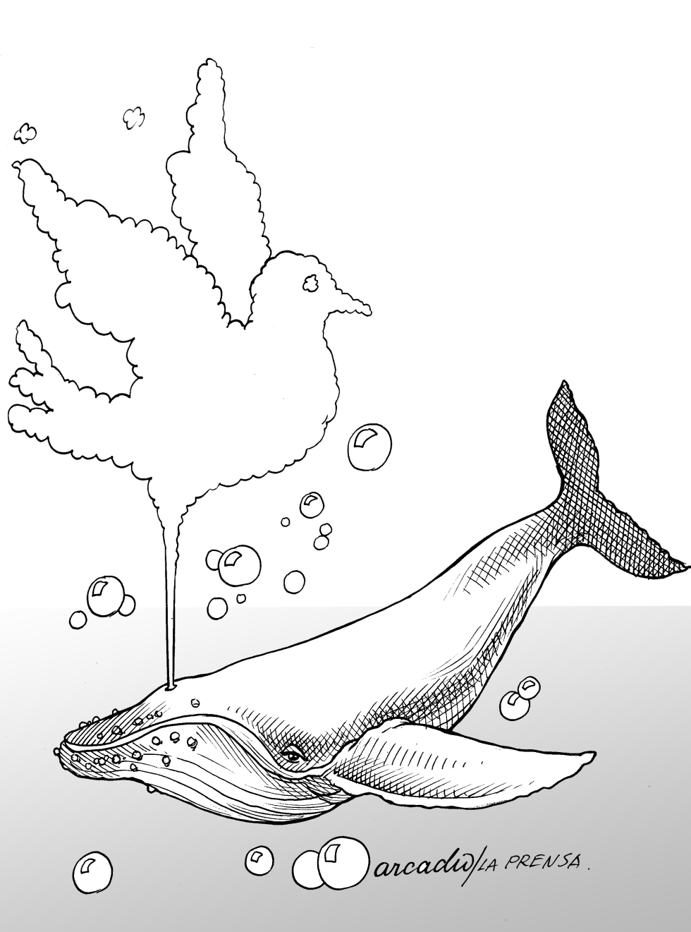 La ballena en paz