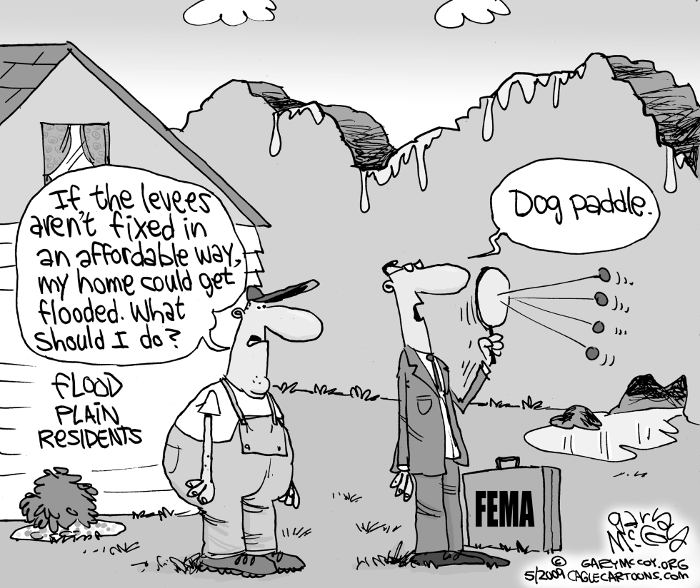 Levees in Disrepair