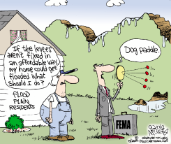 LEVEES IN DISREPAIR  by Gary McCoy
