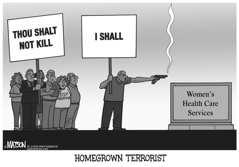 HOMEGROWN TERRORIST by R.J. Matson