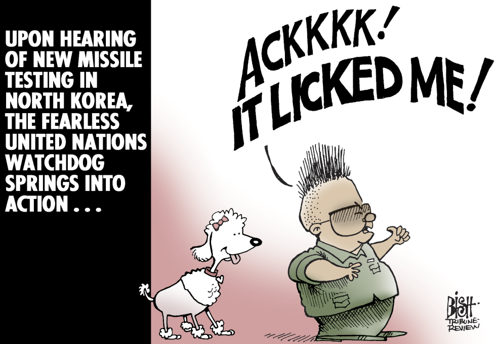 UN WATCHDOG, COLOR