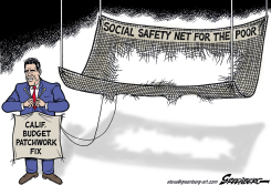 CALIFORNIA SAFETY NET by Steve Greenberg