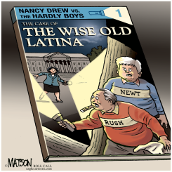 THE CASE OF THE WISE OLD LATINA by R.J. Matson