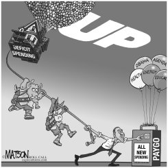 NEW PAYGO SPENDING RULES by R.J. Matson