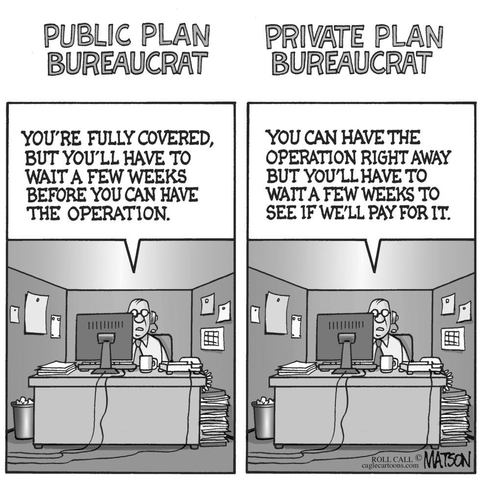  PUBLIC VS. PRIVATE BUREAUCRATS by RJ Matson