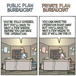 PUBLIC VS. PRIVATE BUREAUCRATS by R.J. Matson
