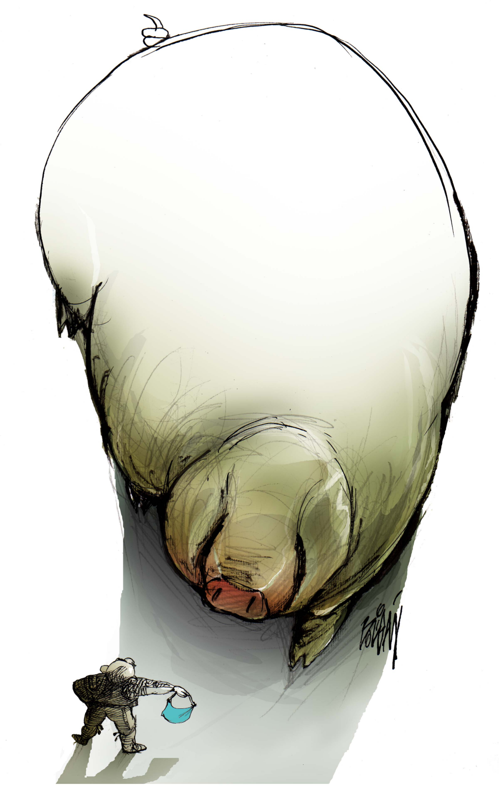 Torero / COLOR