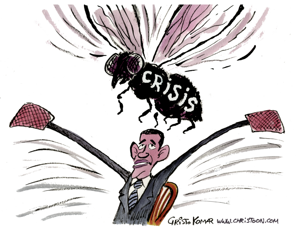 Obama the flyswatter - COLOR
