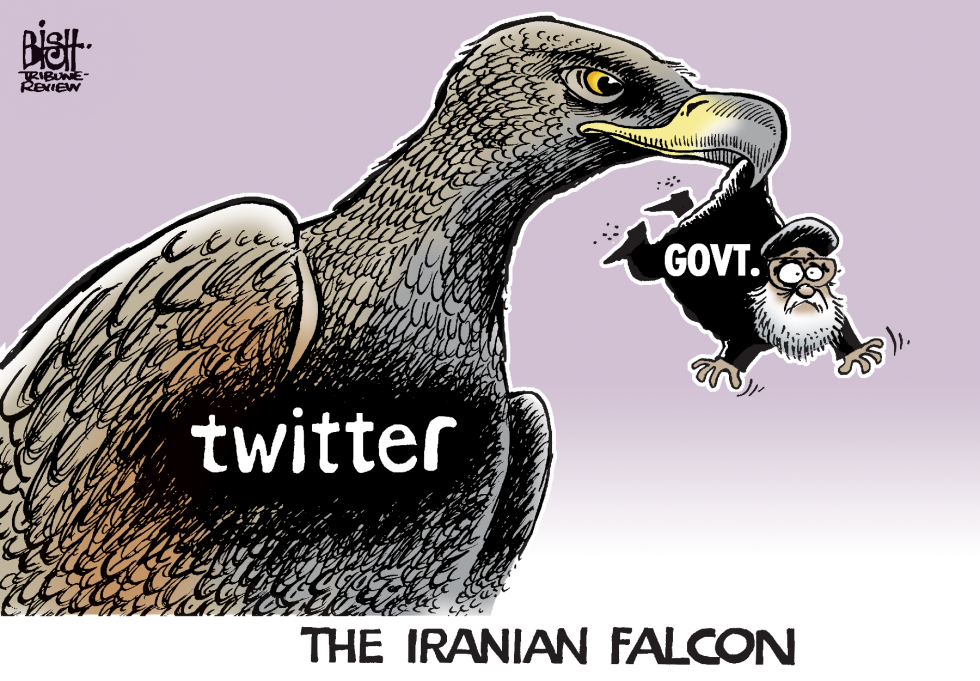 IRANIAN FALCON, COLOR