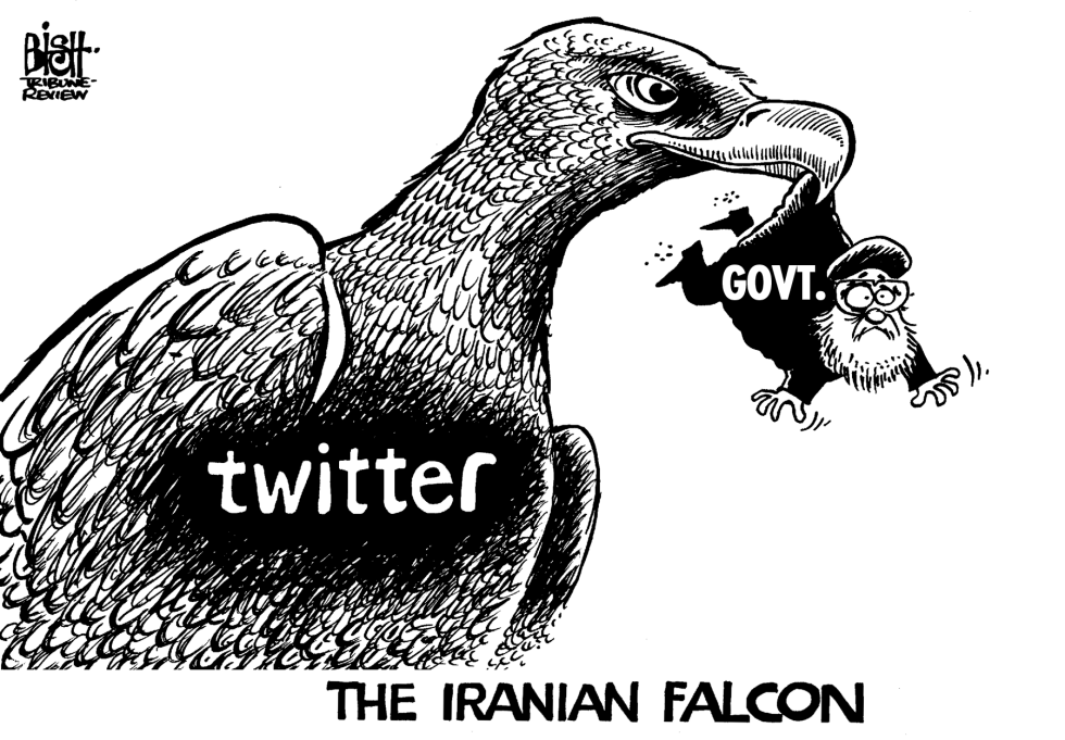 IRANIAN FALCON, b/w