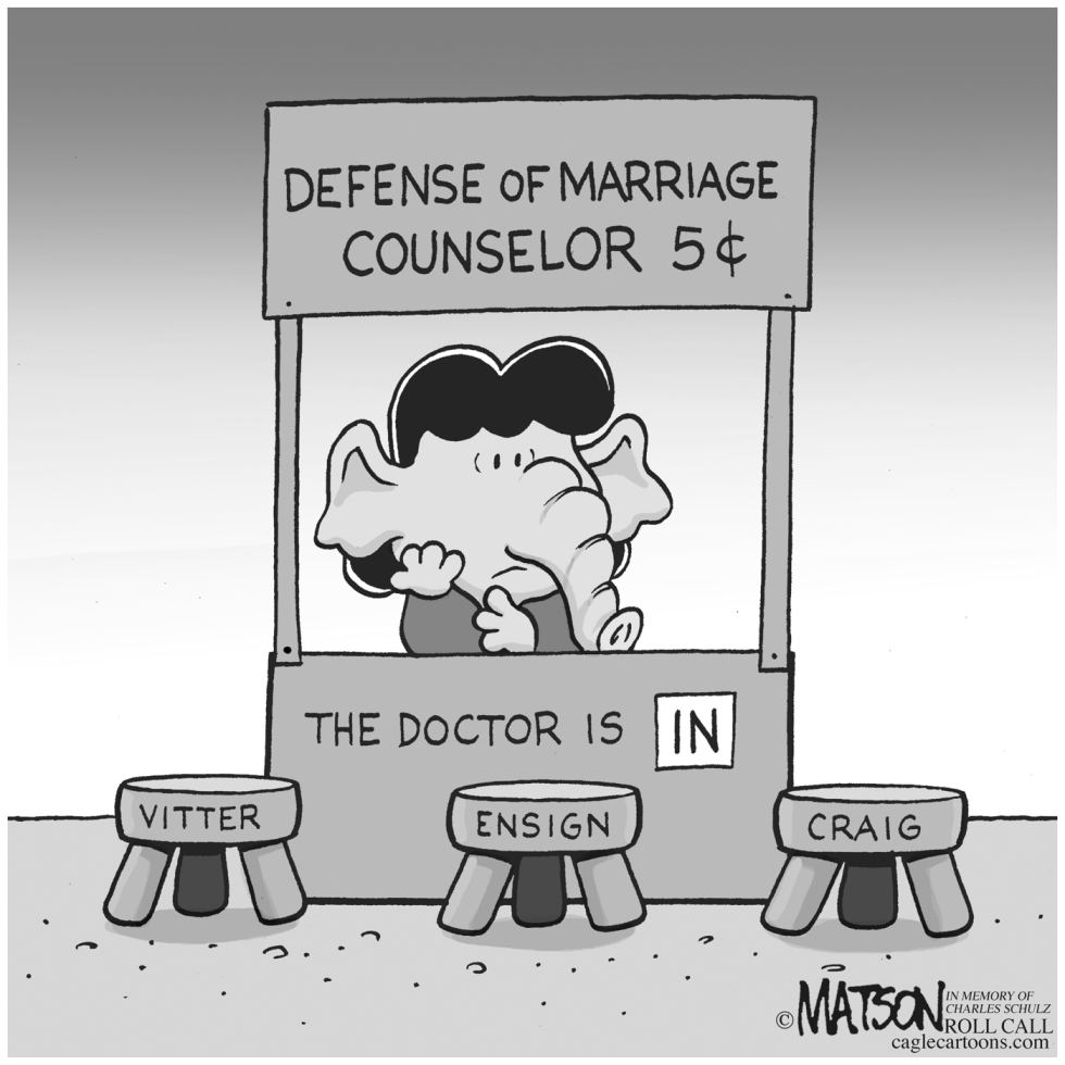  DEFENSE OF MARRIAGE COUNSELOR by RJ Matson