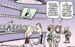 DEMOCRAT AND REPUBLICAN AFFAIRS  by Mike Keefe