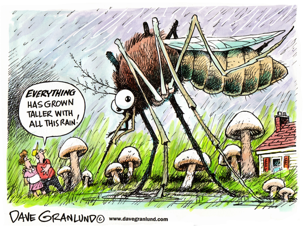 Rain-soaked Northeast