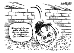 PALIN STEPS DOWN by Jimmy Margulies