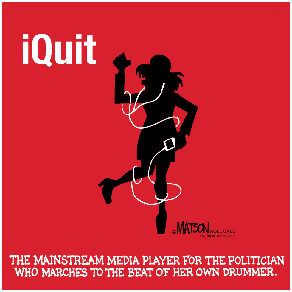 Sarah Palin's Mainstream Media Player-COLOR