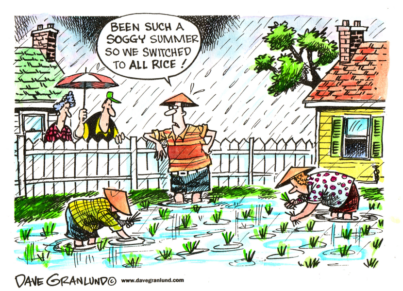 Soggy summer gardens