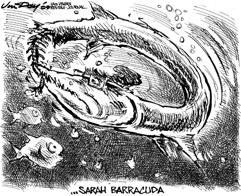 Sarah Barracuda