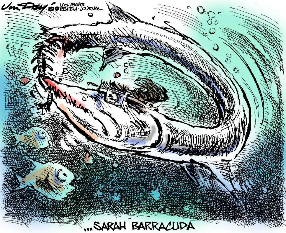 Sarah Barracuda