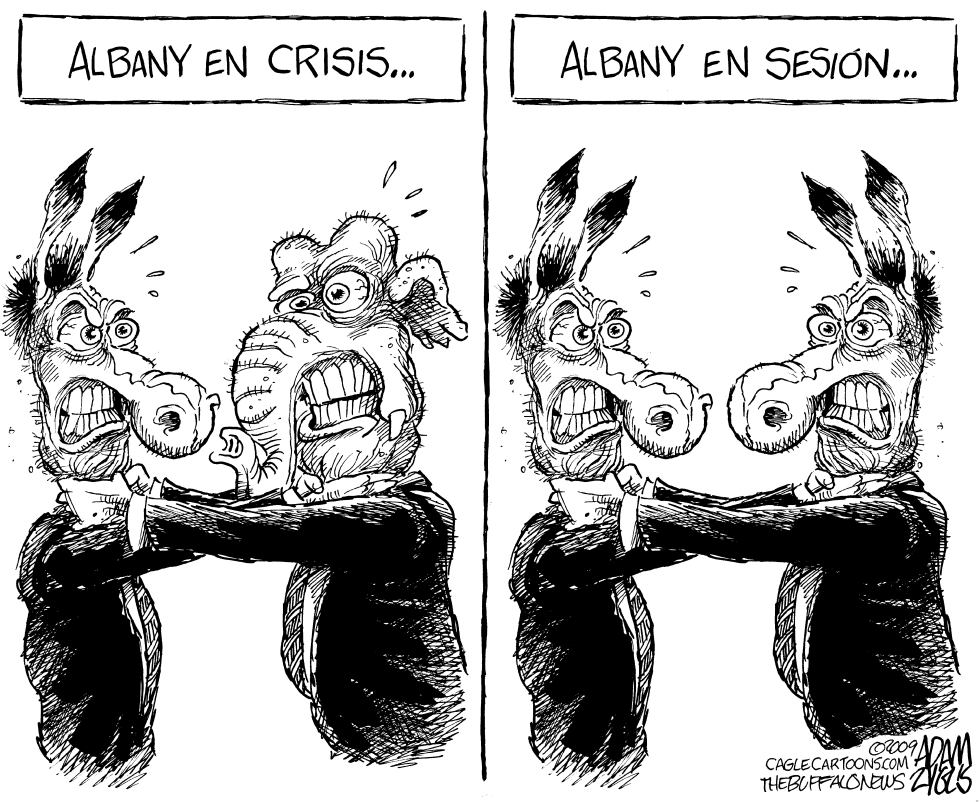 Albany en Sesion