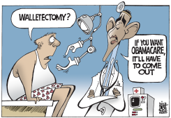 OBAMACARE,  by Randy Bish