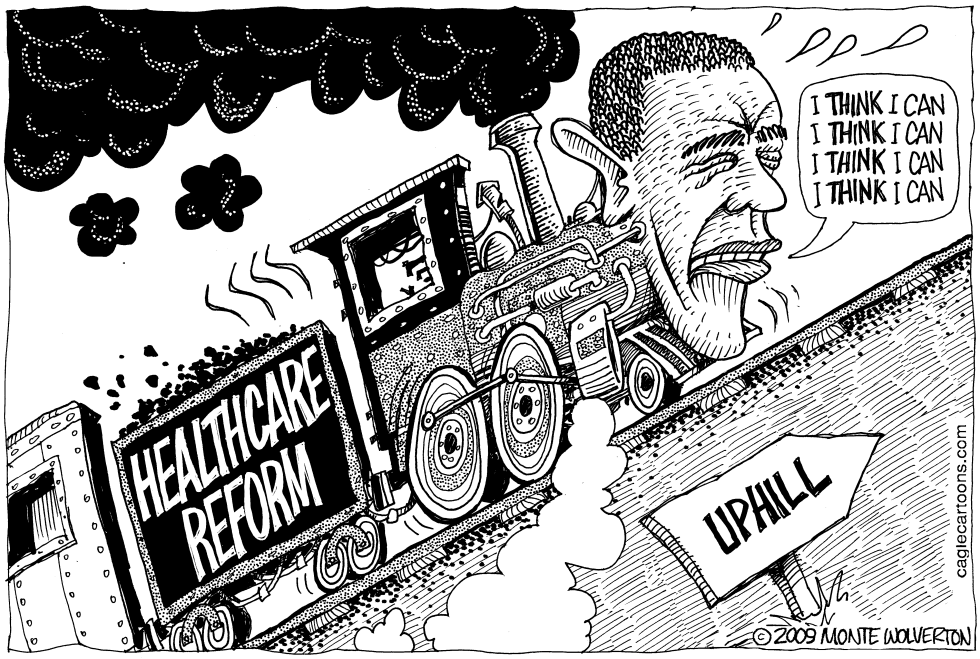  THE LITTLE ENGINE THAT COULD REFORM HEALTHCARE by Wolverton