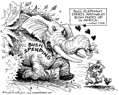 ELEPHANT SEX by Sandy Huffaker