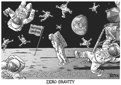 LOCAL NY- STATE SENATE IN ZERO GRAVITY by R.J. Matson