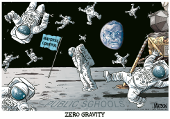LOCAL NY- STATE SENATE IN ZERO GRAVITY by R.J. Matson