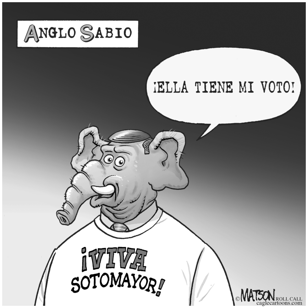 Anglo Sabio