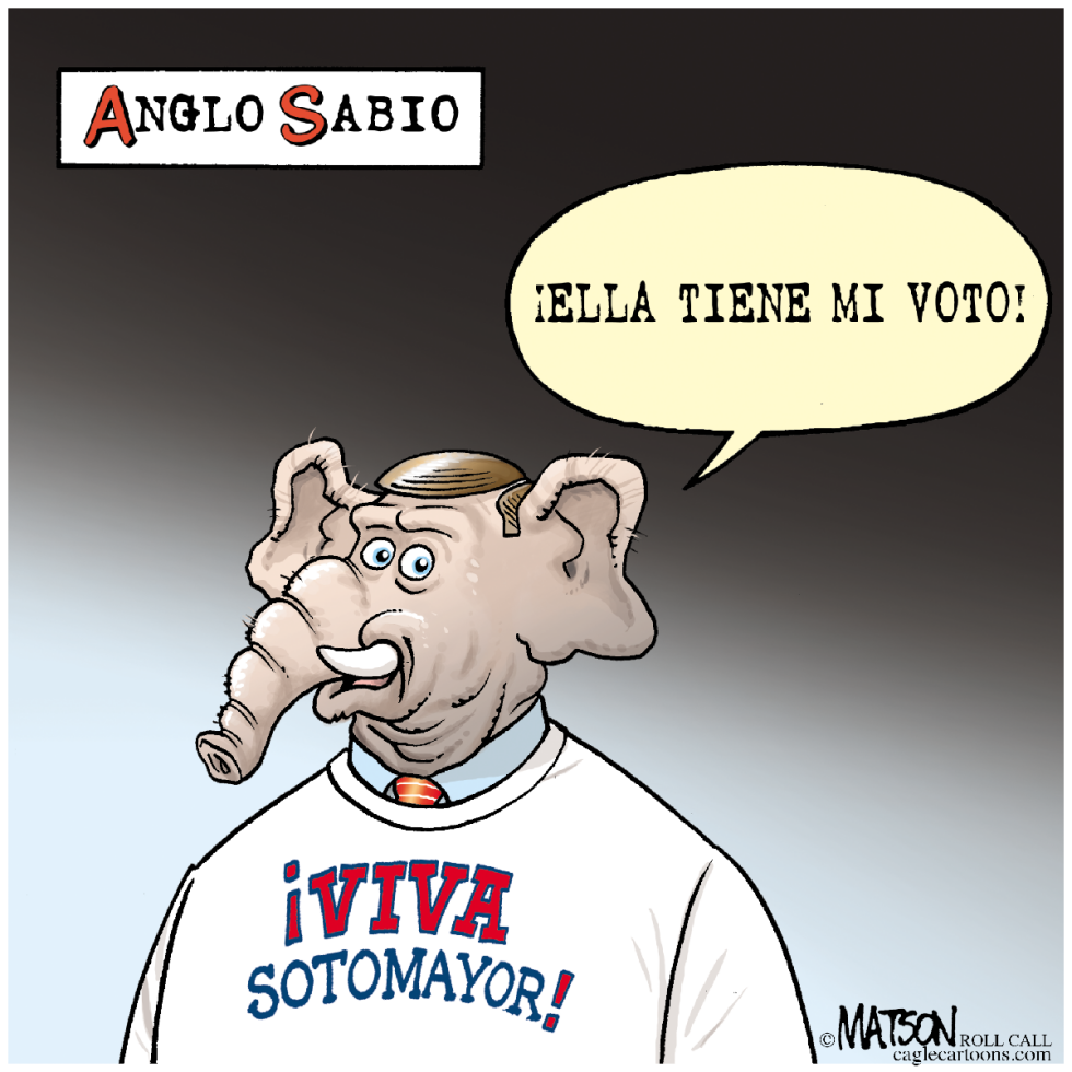 Anglo Sabio / COLOR