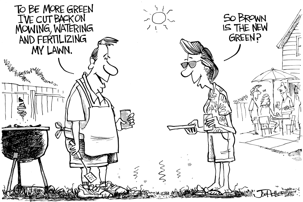 Green Lawn