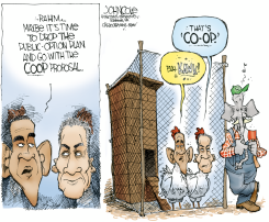 CHICKEN CO-OP  by John Cole