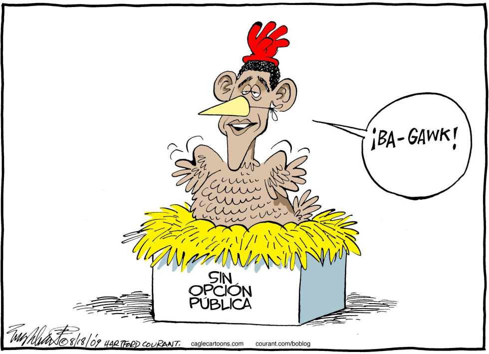 Obama Gallina / COLOR