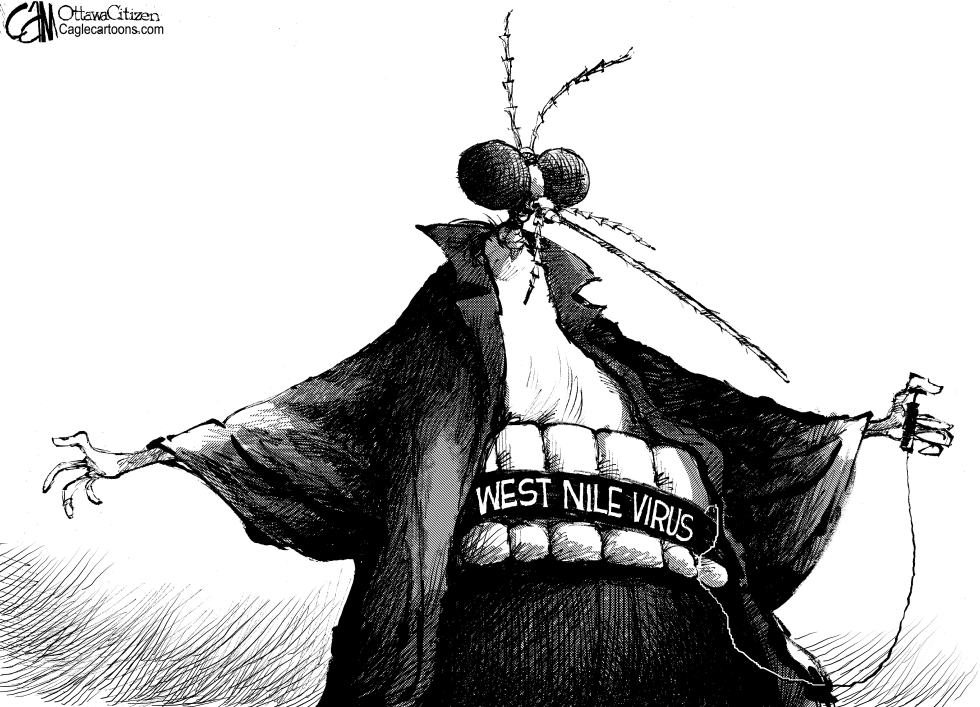 Mosquito Terrorist