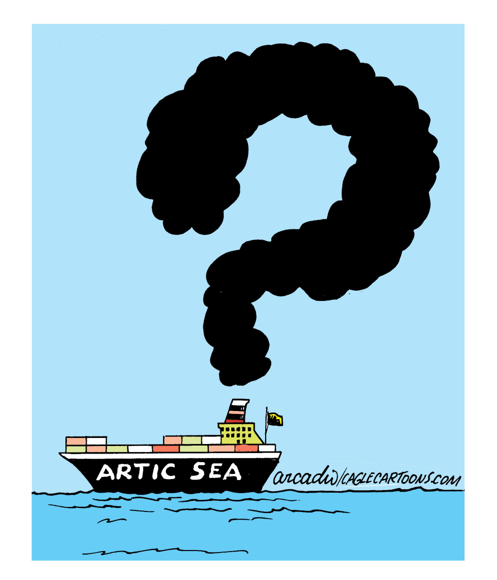 El misterioso Artic Sea col