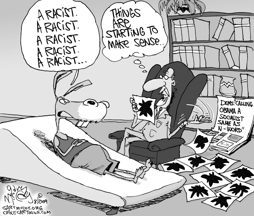 Dems See Racism