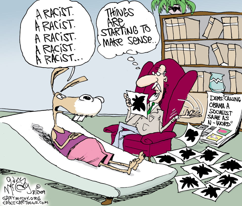 Dems See Racism COLOR