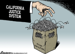 PRISONS, CALIFORNIA by Steve Greenberg
