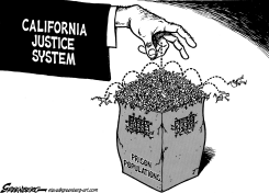 PRISONS, CALIFORNIA BW by Steve Greenberg