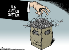 PRISONS by Steve Greenberg