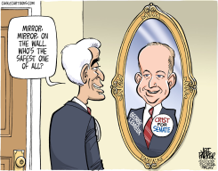 LOCAL FLA LOOKING GLASS  by Jeff Parker