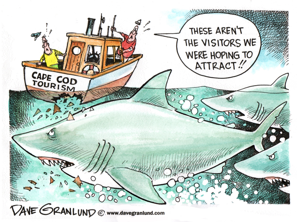 Cape Cod and Great White Sharks