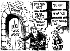 PUBLIC OPTION FOR CONGRESS by John Trever