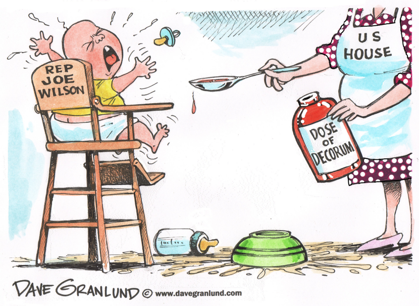 Rep Joe Wilson and decorum