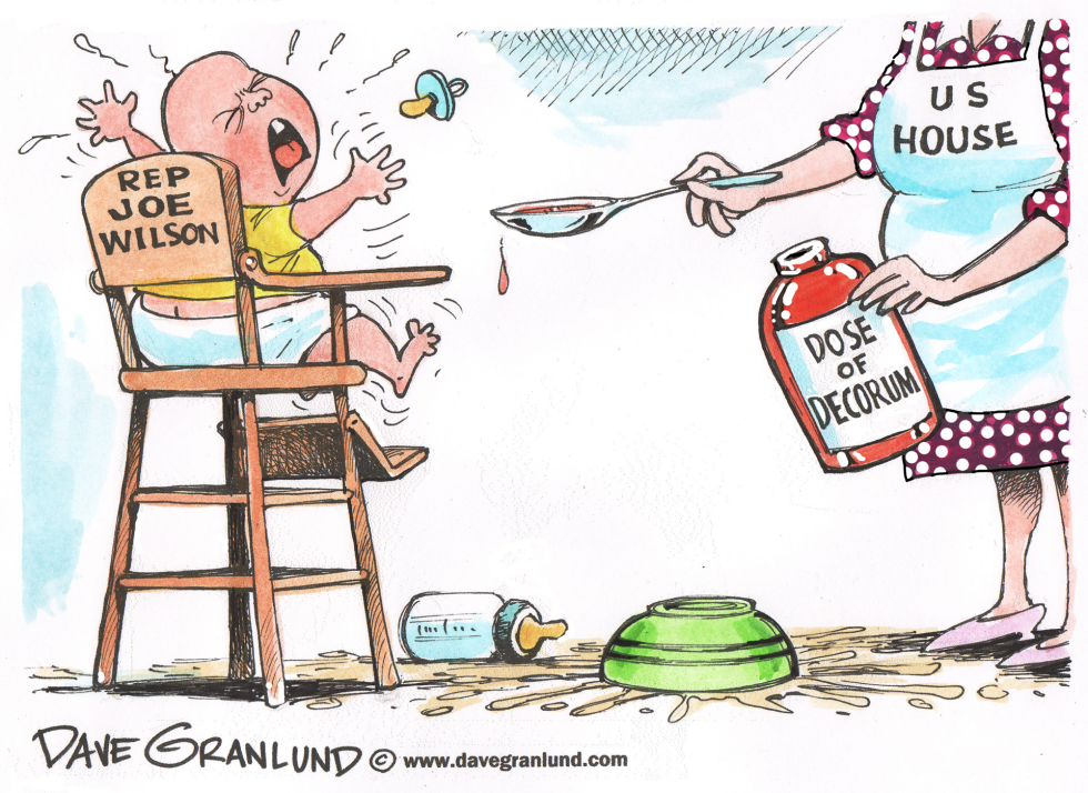 Rep Joe Wilson and decorum